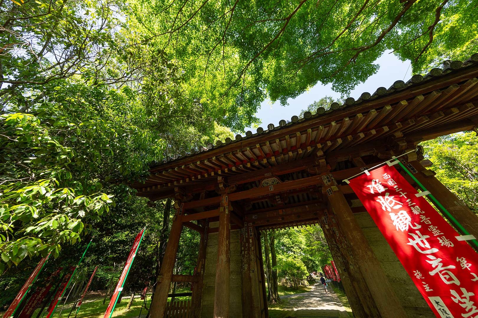 醍醐寺_a0003166_10265443.jpg