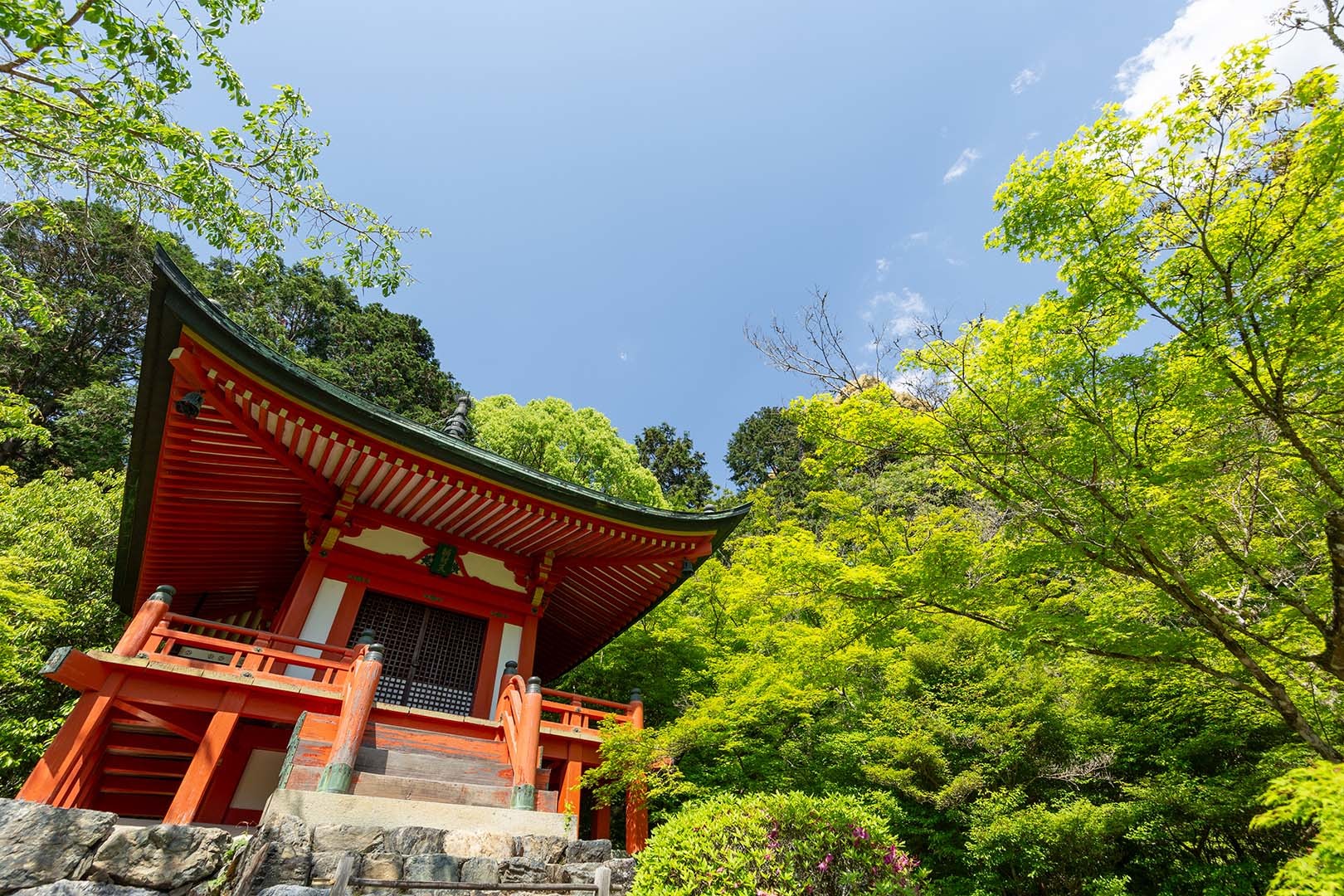 醍醐寺_a0003166_10270123.jpg