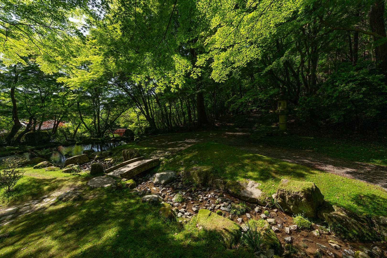 醍醐寺_a0003166_10270249.jpg