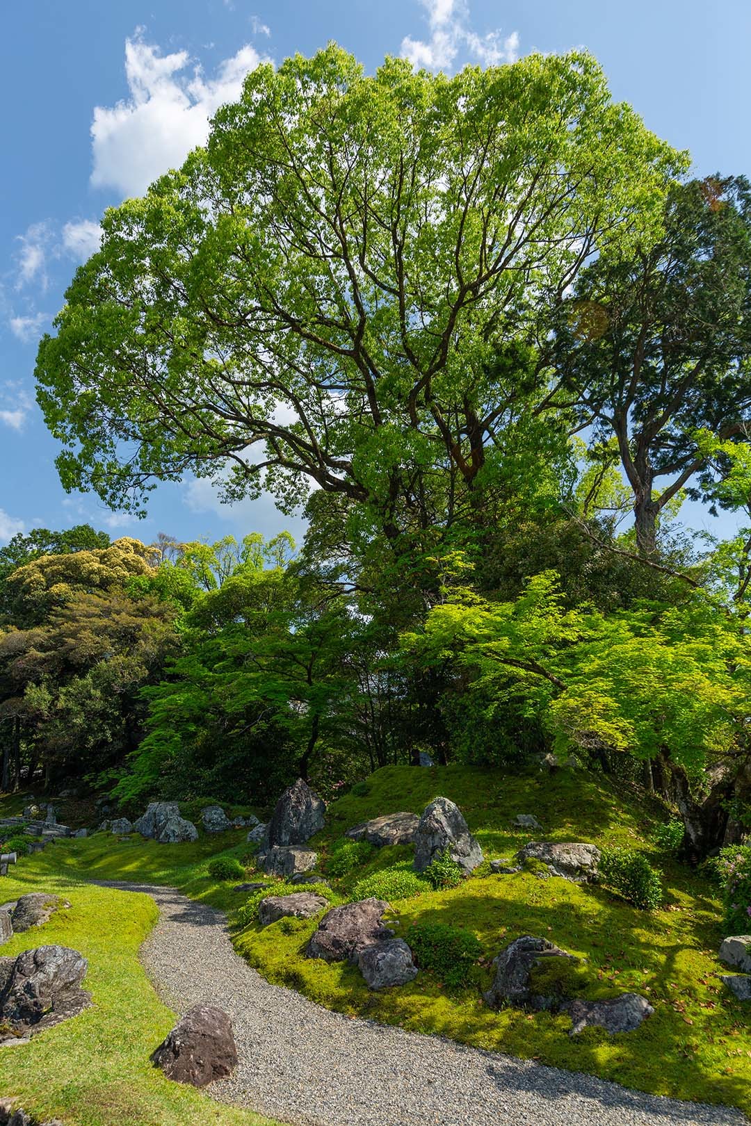 醍醐寺_a0003166_10270350.jpg