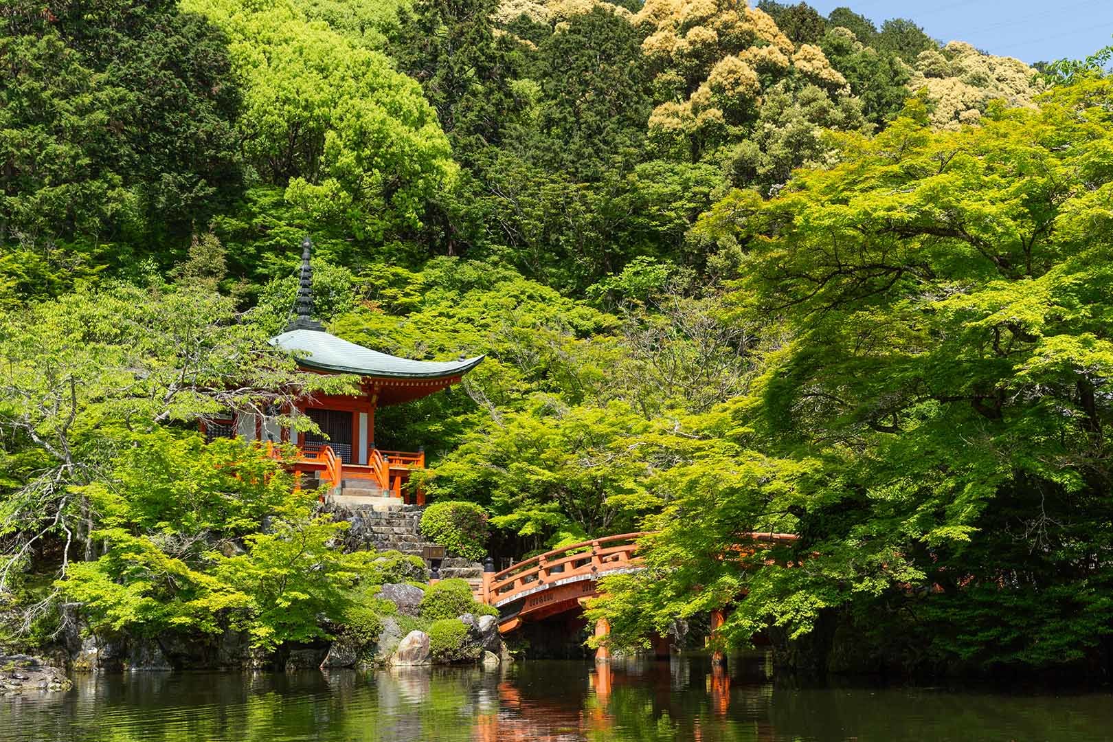 醍醐寺_a0003166_10270483.jpg
