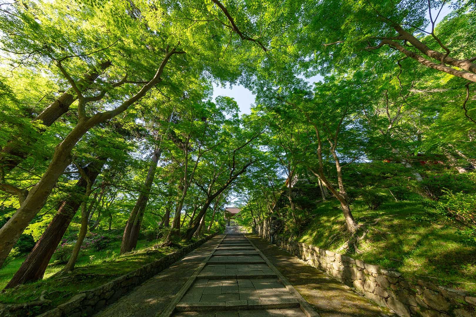 毘沙門堂_a0003166_10280289.jpg