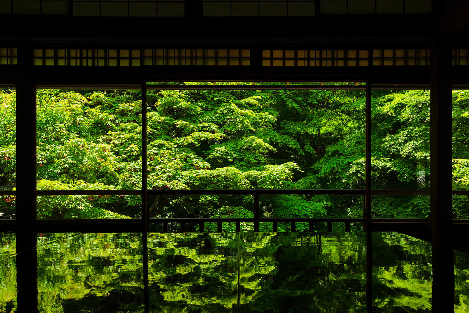 瑠璃光院 新緑 その１_a0003166_10295506.jpg