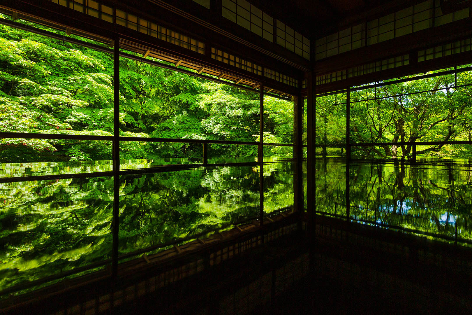 瑠璃光院 新緑 その１_a0003166_10295539.jpg