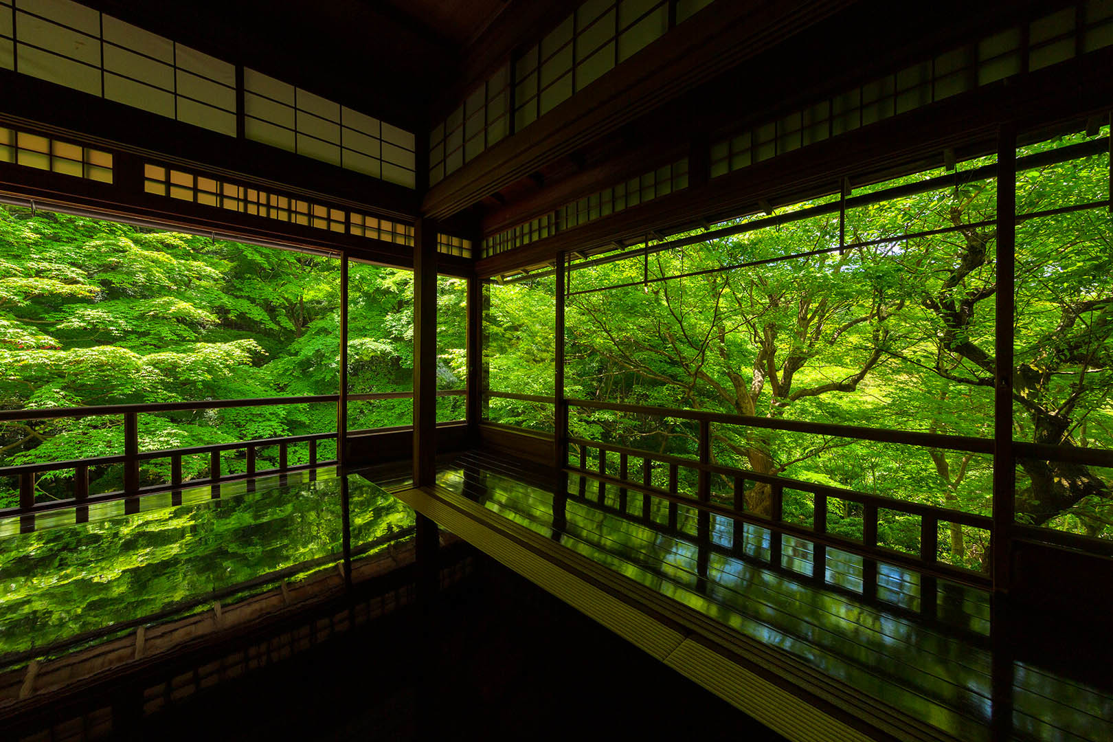 瑠璃光院 新緑 その２_a0003166_10305083.jpg