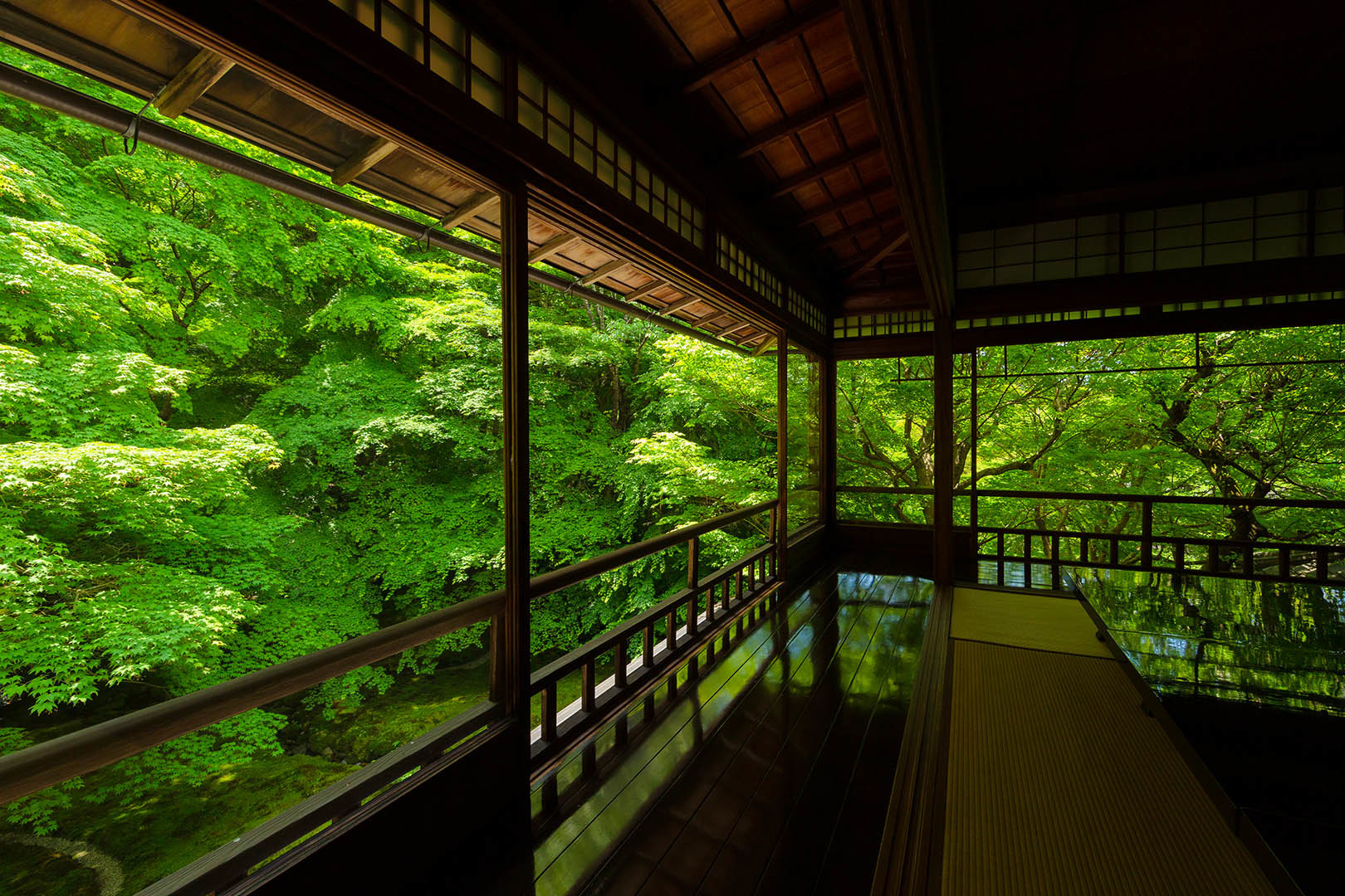 瑠璃光院 新緑 その２_a0003166_10305086.jpg