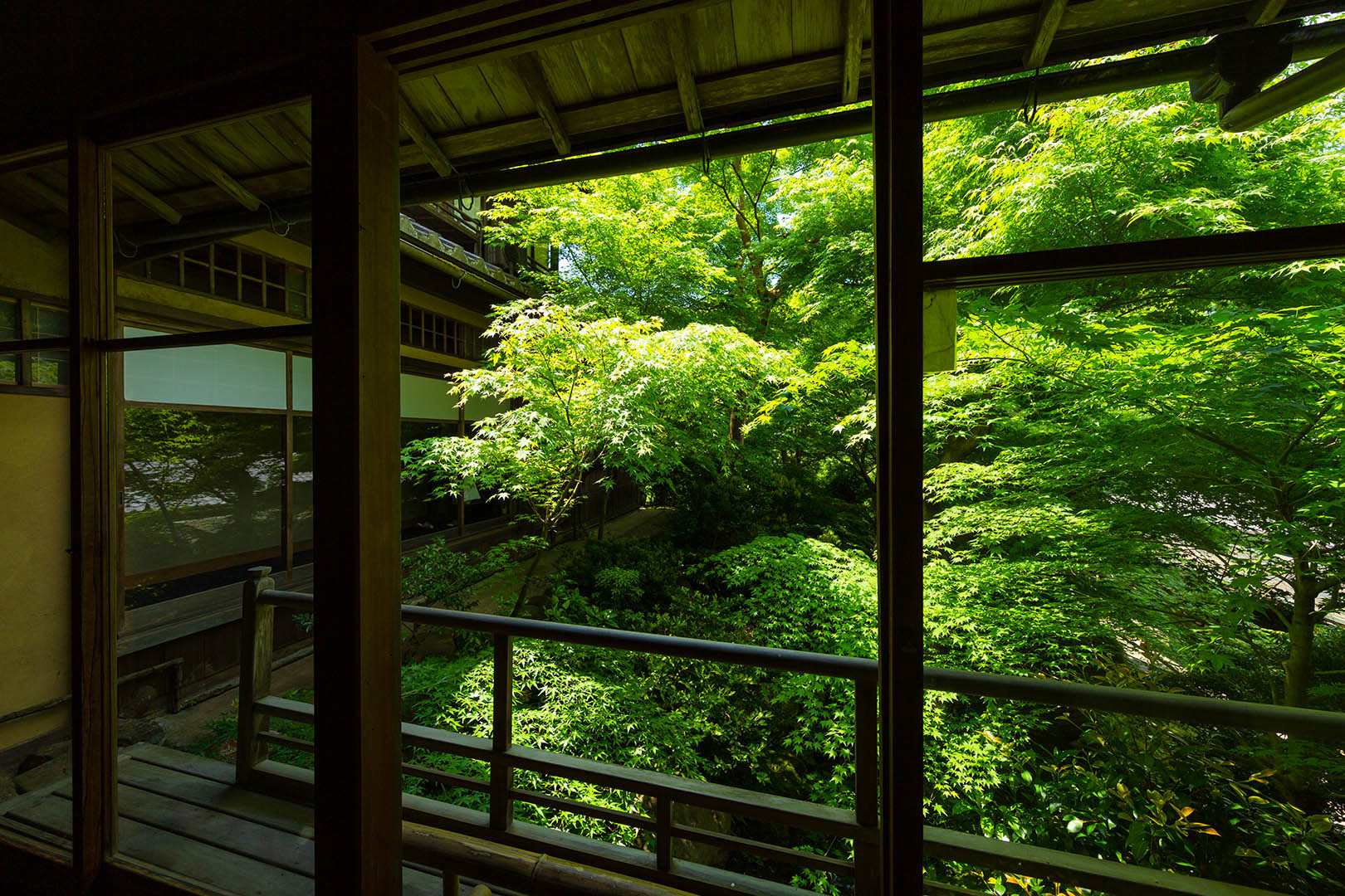 瑠璃光院 新緑 その３_a0003166_10335206.jpg