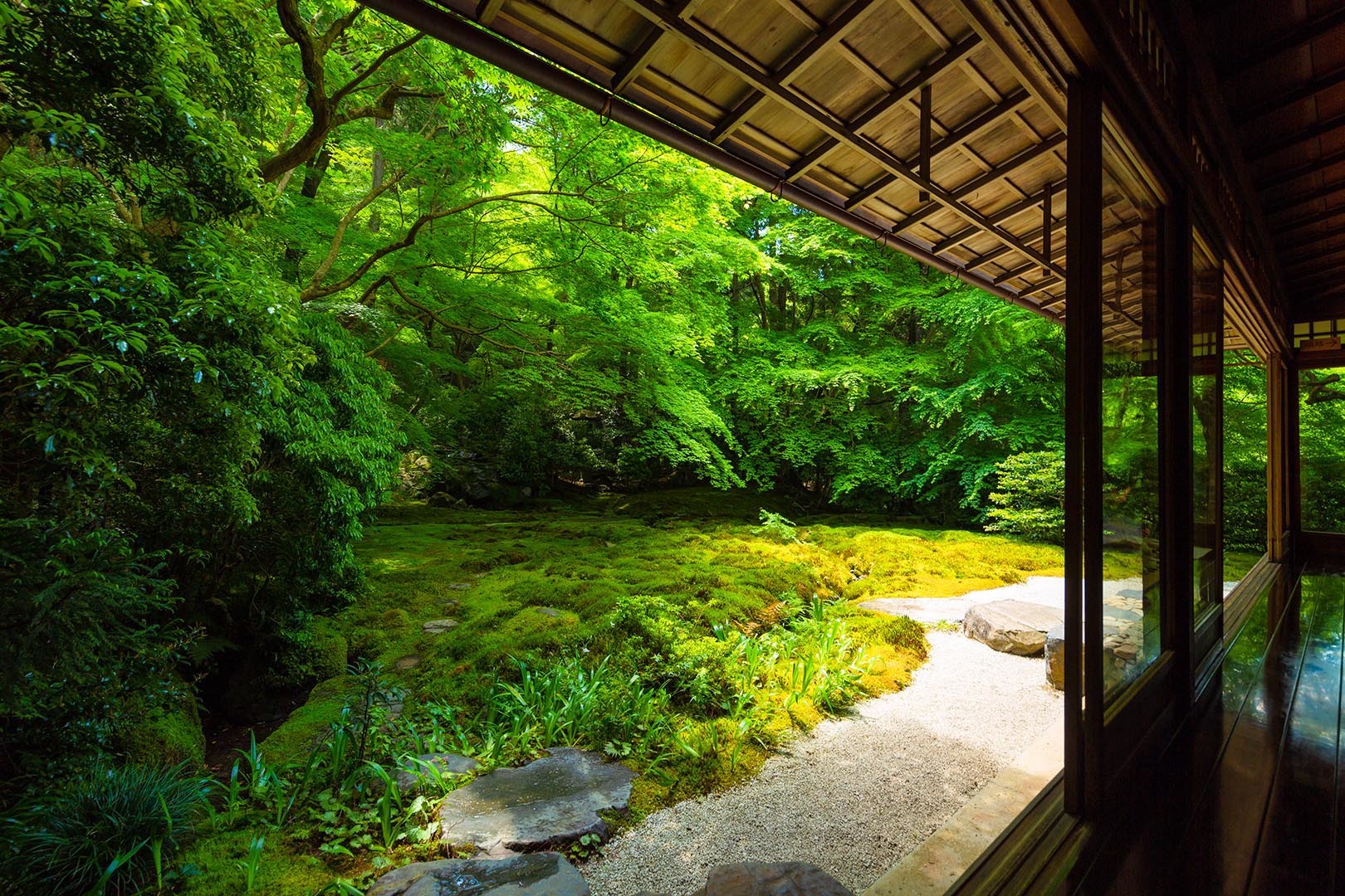 瑠璃光院 新緑 その３_a0003166_10335317.jpg
