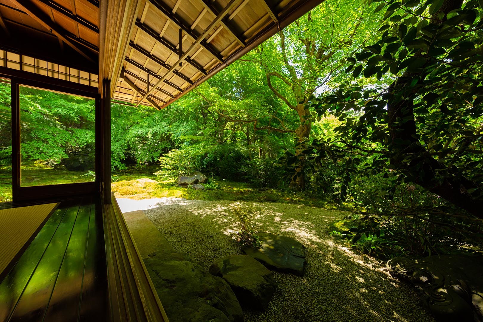 瑠璃光院 新緑 その３_a0003166_10335396.jpg