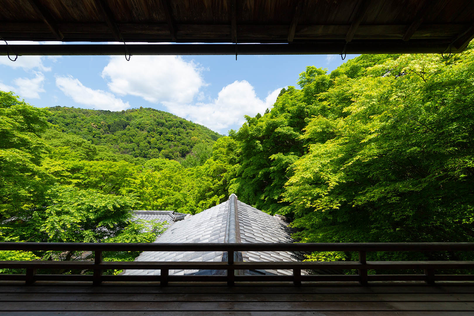 瑠璃光院 新緑 その４_a0003166_10350935.jpg