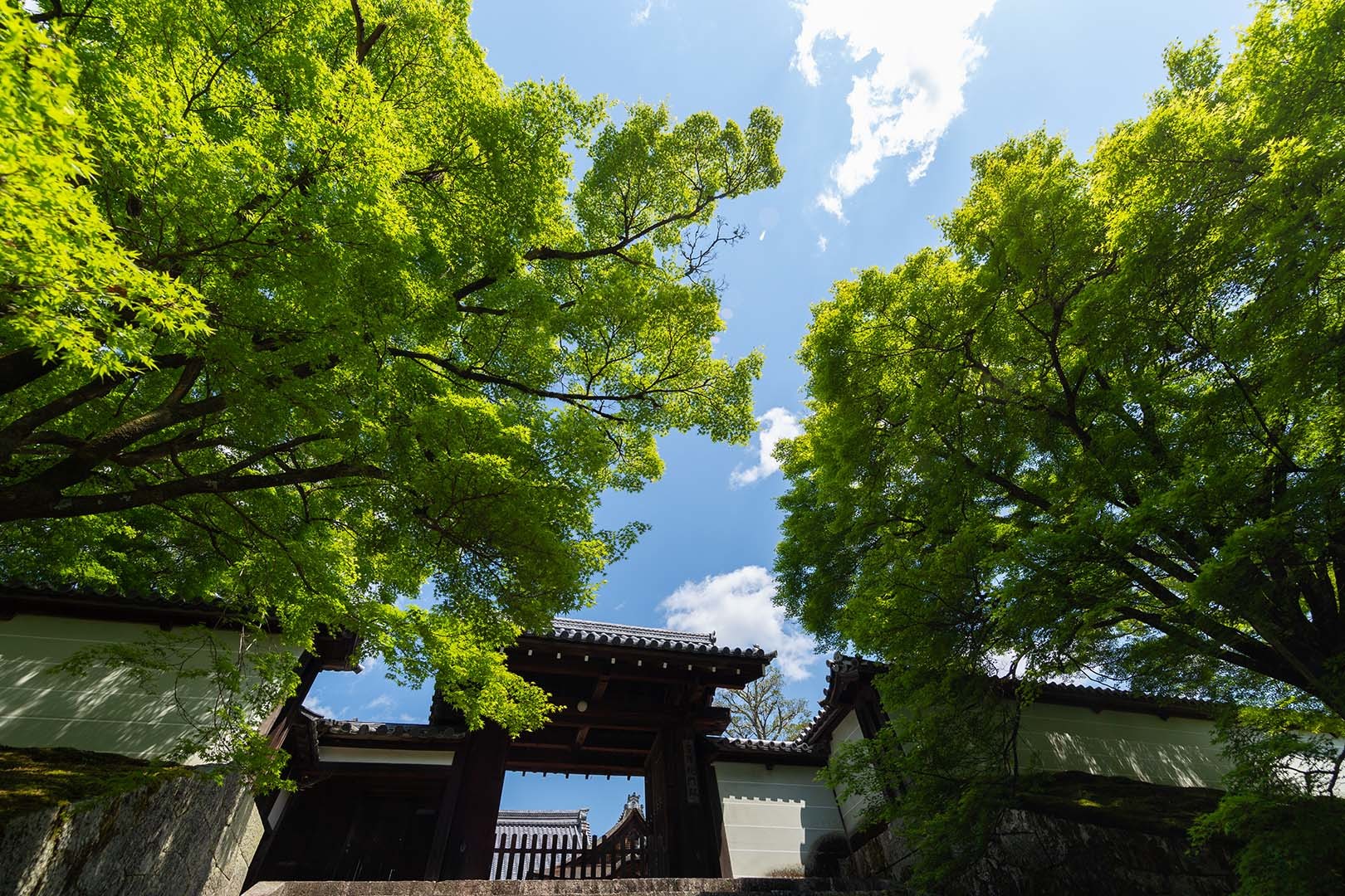 曼殊院_a0003166_10390106.jpg