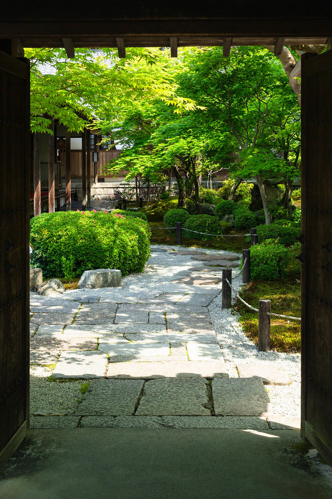圓光寺_a0003166_10421102.jpg