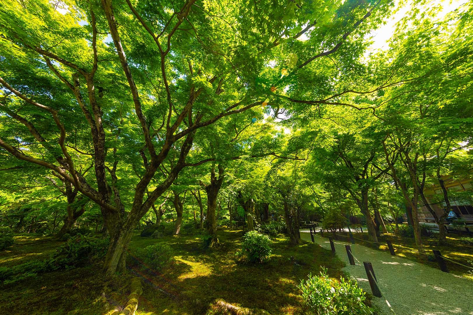 圓光寺_a0003166_10423253.jpg