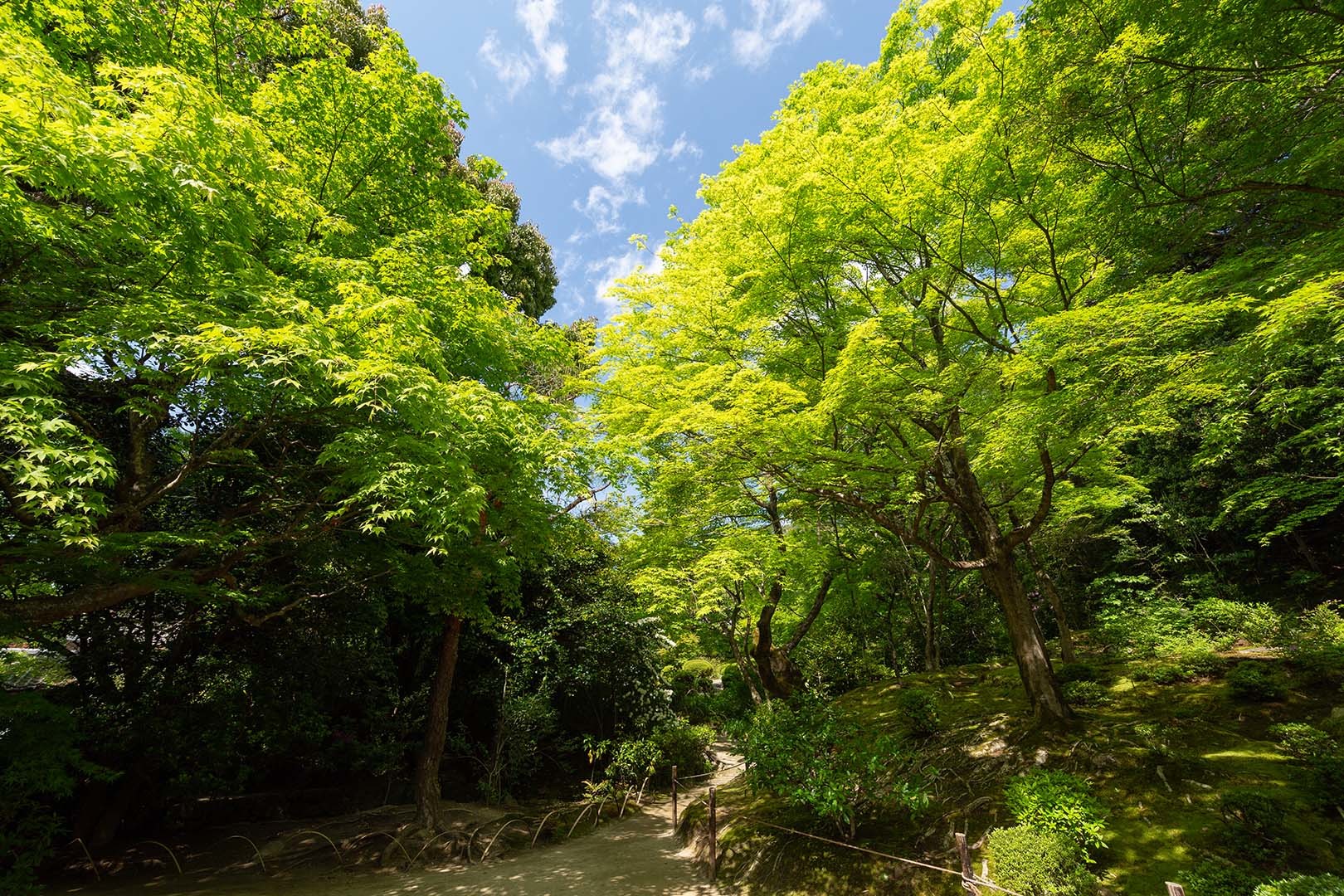 詩仙堂_a0003166_10435770.jpg