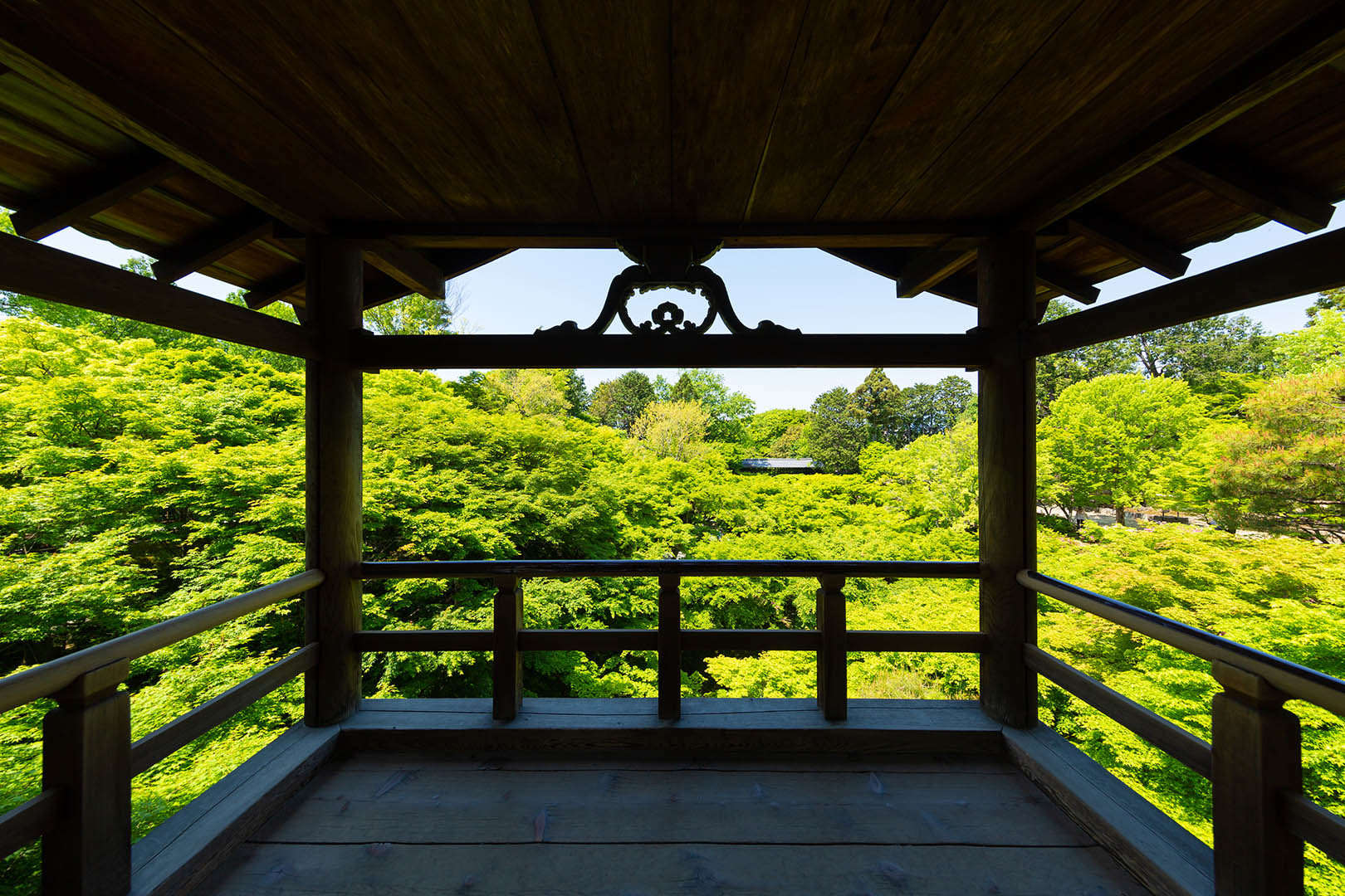 東福寺 新緑 その１_a0003166_10495391.jpg