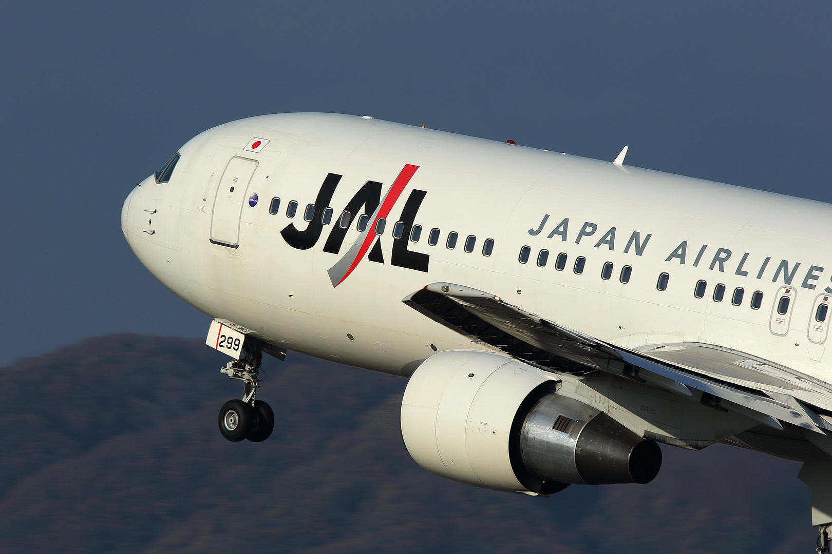 飛行機　（伊丹空港、伊丹スカイパーク）_a0003166_10495521.jpg