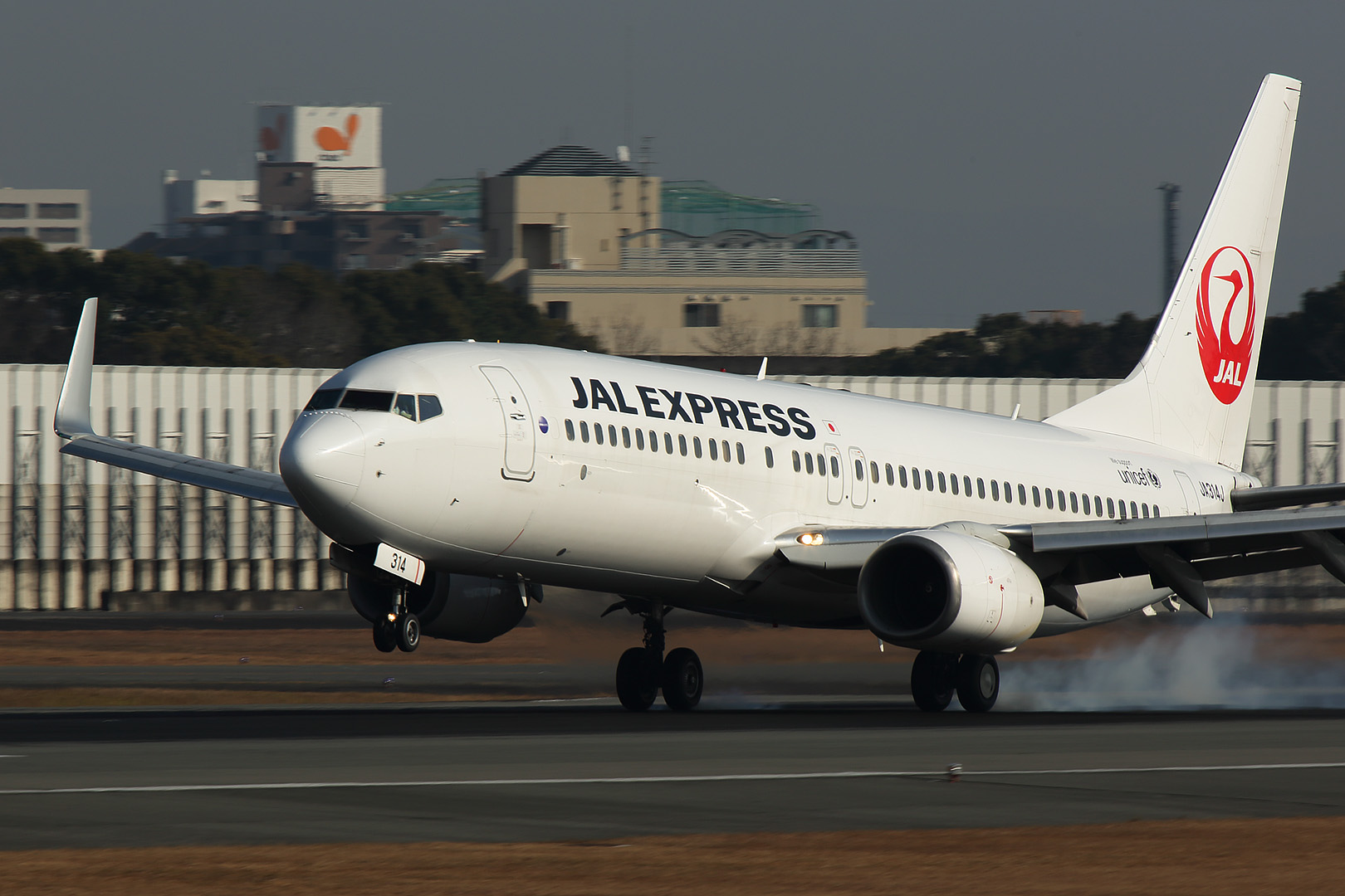 飛行機　（伊丹空港、伊丹スカイパーク）_a0003166_10495811.jpg