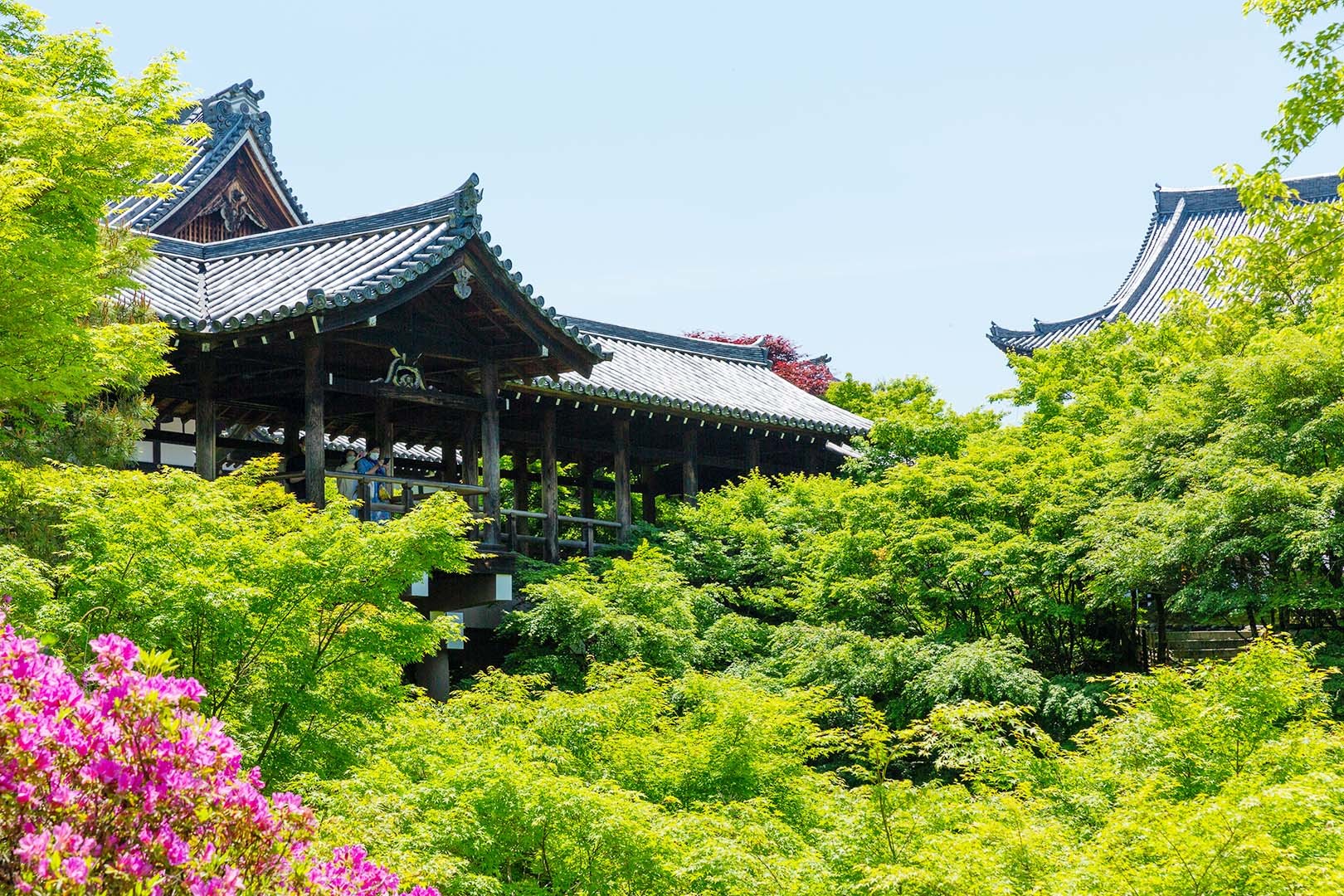 東福寺 新緑 その２_a0003166_10505461.jpg