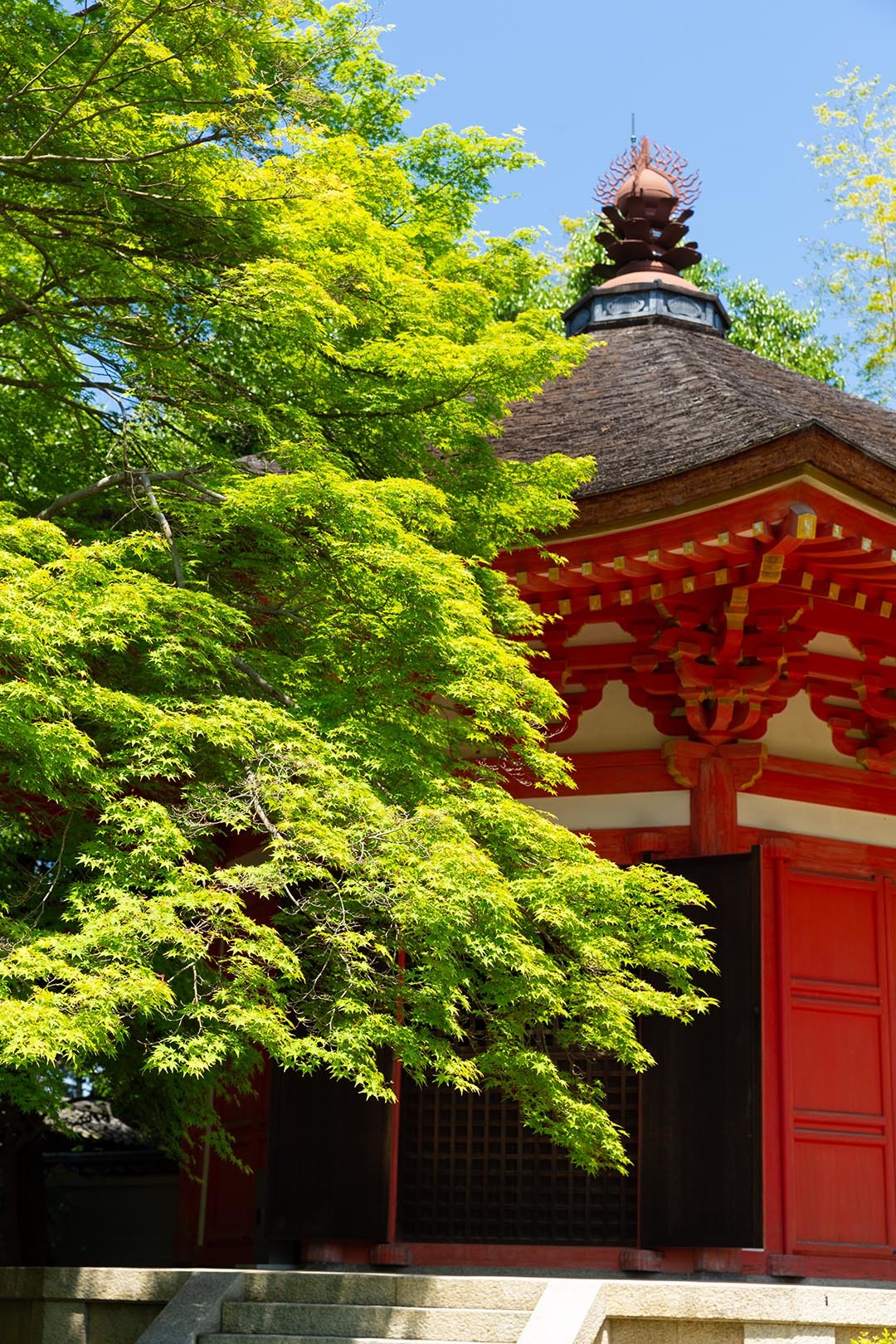 東福寺 新緑 その２_a0003166_10505524.jpg