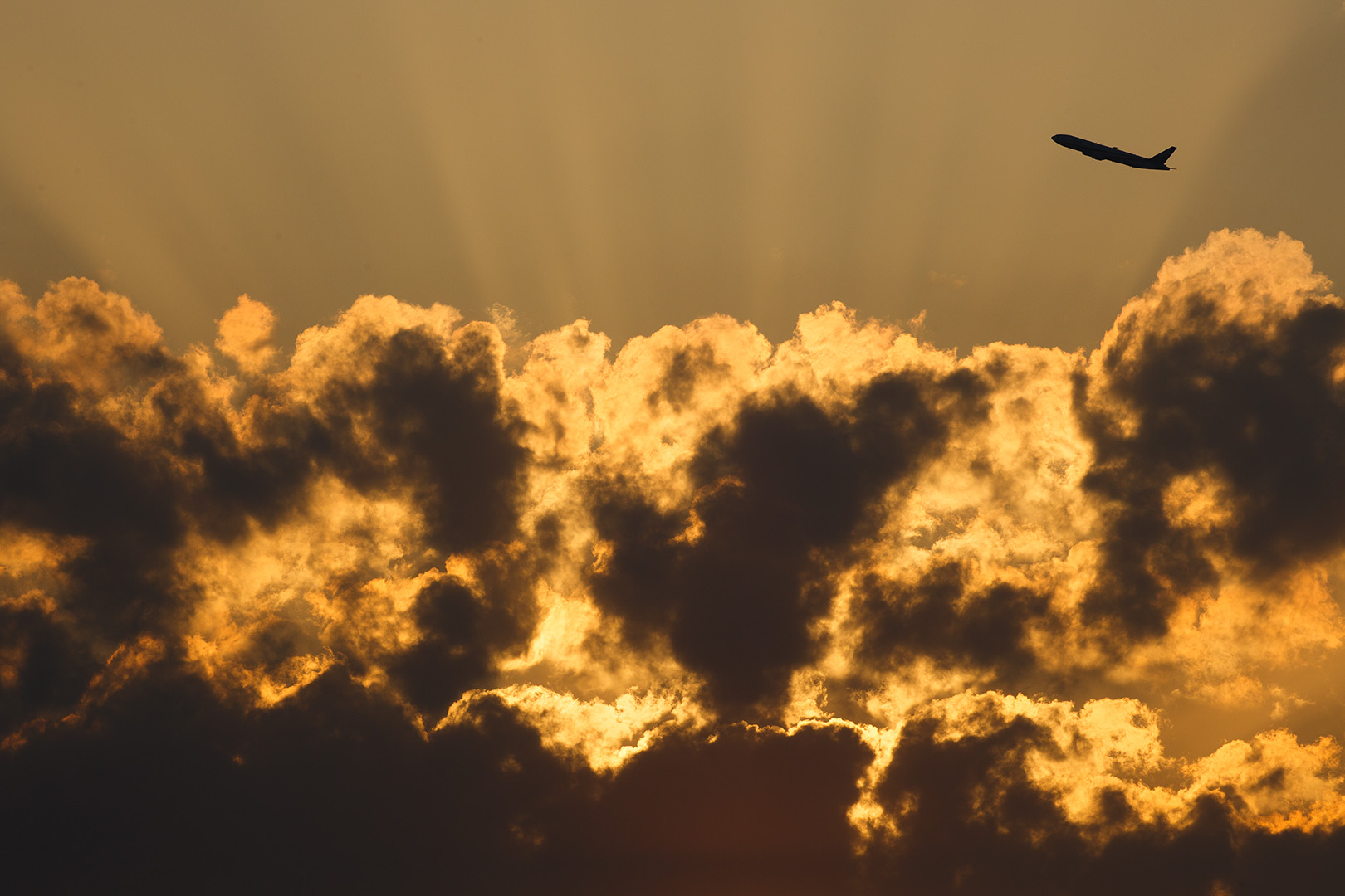 飛行機　夕焼け （伊丹空港 千里川）_a0003166_10514190.jpg