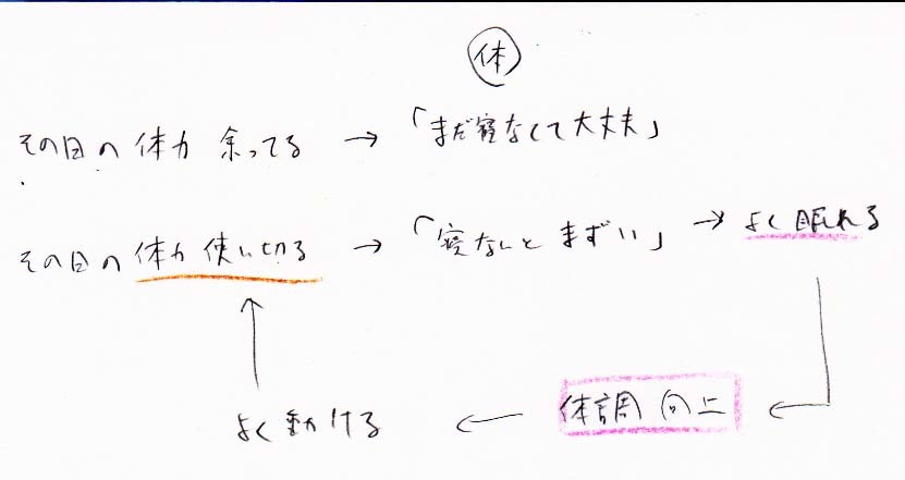 運動で体力を使い切る→よく眠れる→よく動ける→運動で体力を使い切る・・・_a0003166_10591272.jpg