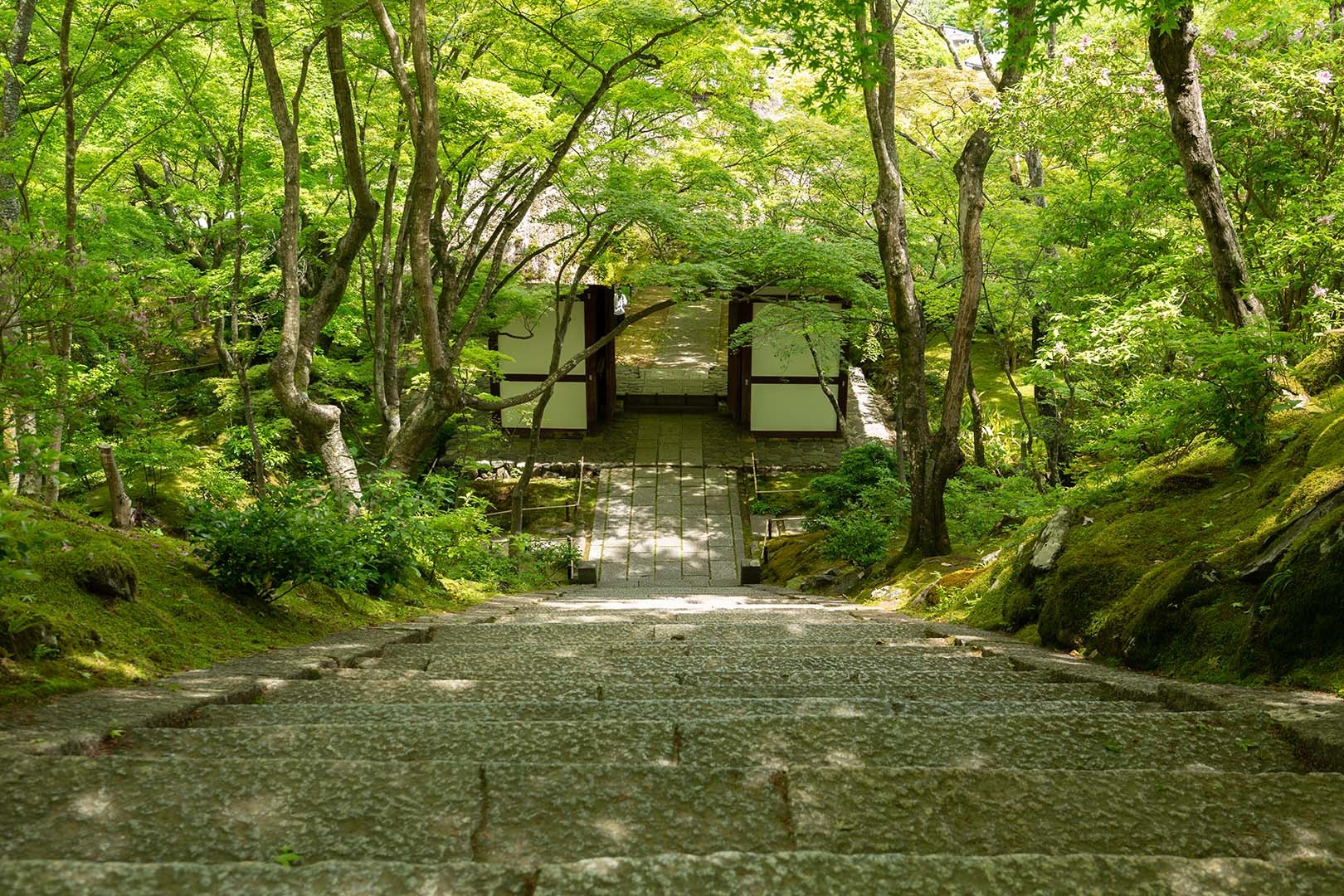 常寂光寺_a0003166_11004407.jpg