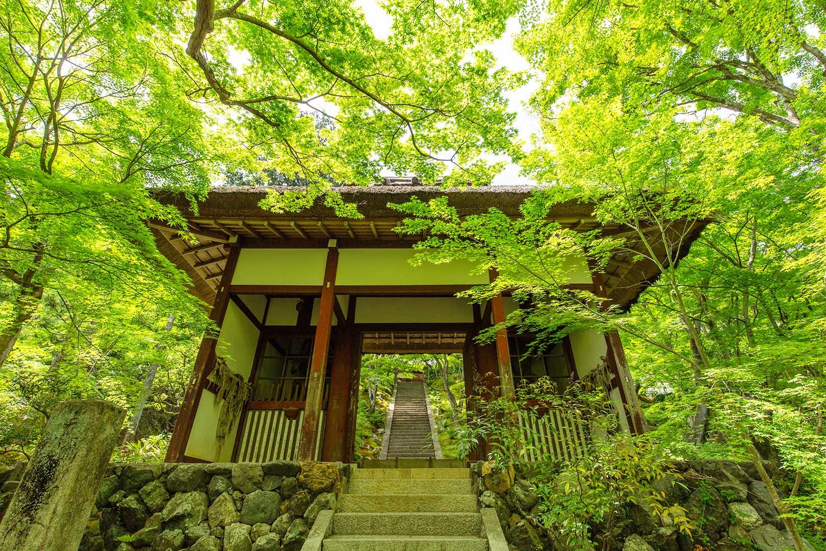 常寂光寺_a0003166_11012895.jpg