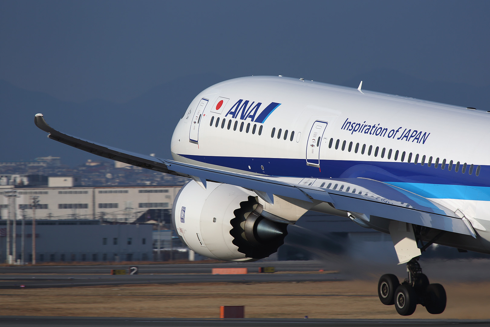 787-9 （伊丹空港 伊丹スカイパーク）_a0003166_1102398.jpg