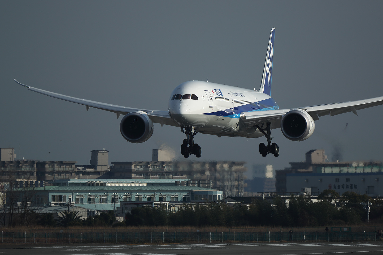 787-9 （伊丹空港 伊丹スカイパーク）_a0003166_1102662.jpg