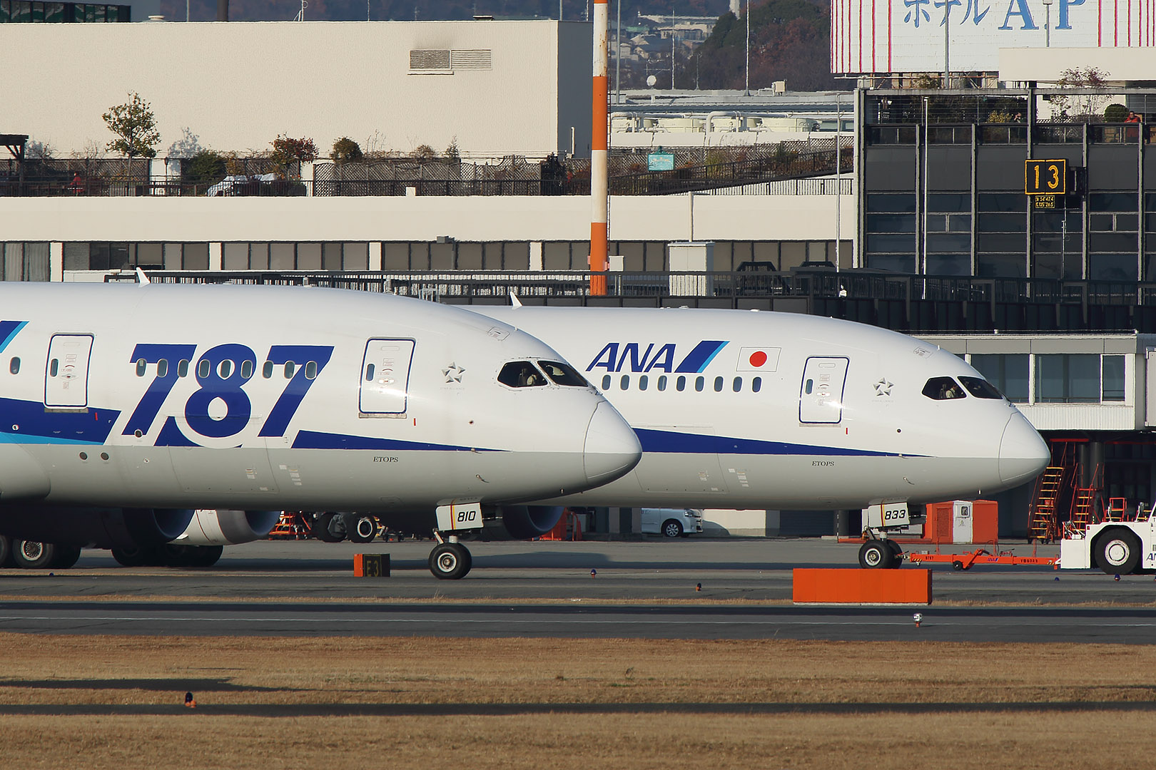 787-9 （伊丹空港 伊丹スカイパーク）_a0003166_1103279.jpg