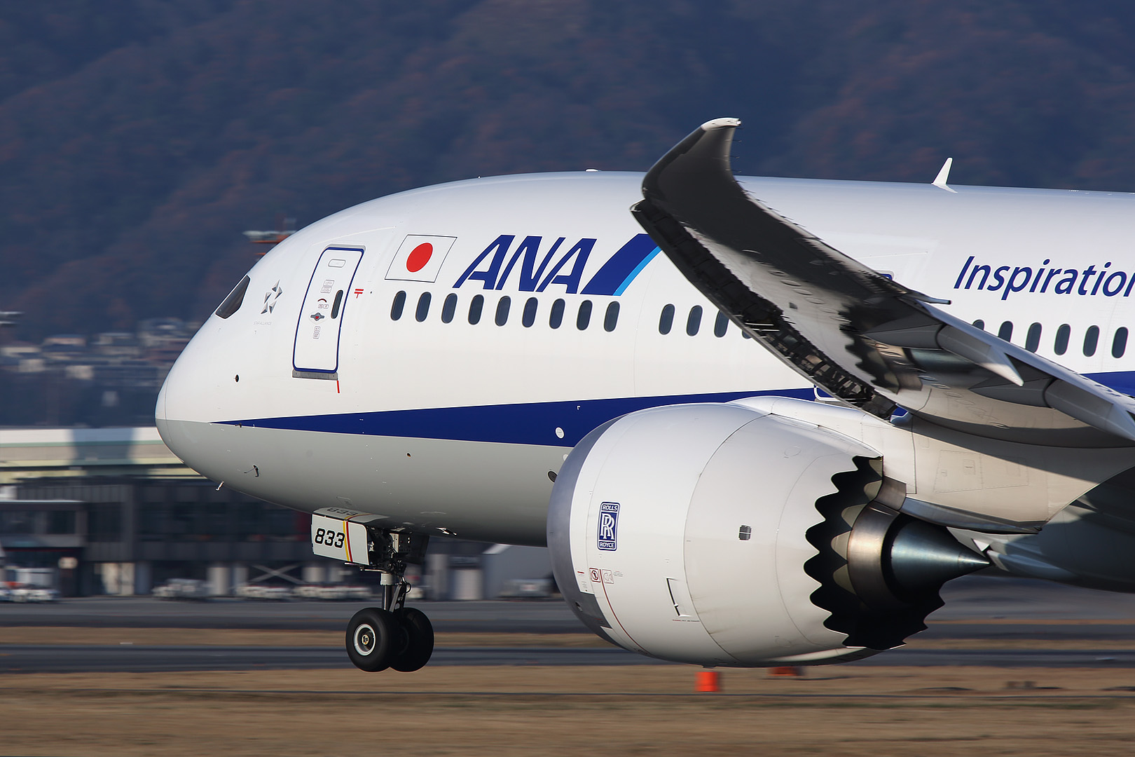 787-9 （伊丹空港 伊丹スカイパーク）_a0003166_1103832.jpg