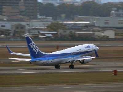 なし_a0003166_1104116.jpg