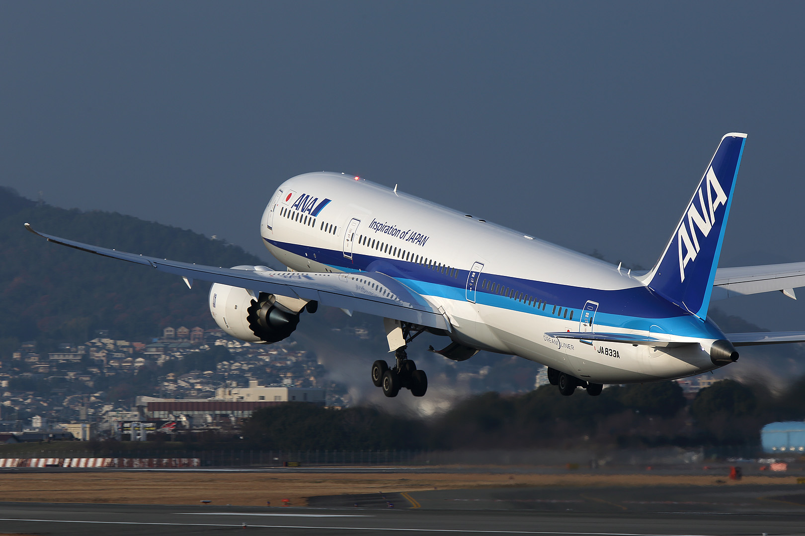 787-9 （伊丹空港 伊丹スカイパーク）_a0003166_110412.jpg