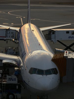 なし_a0003166_1105396.jpg