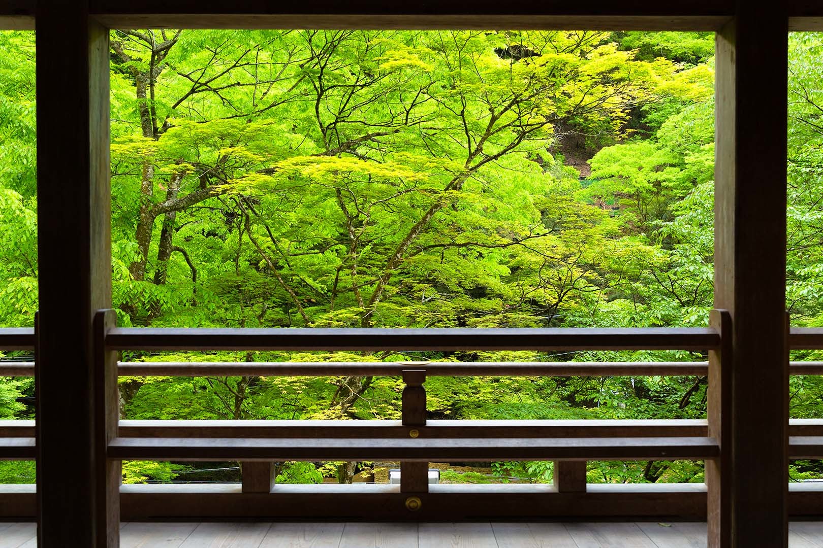貴船_a0003166_11054585.jpg