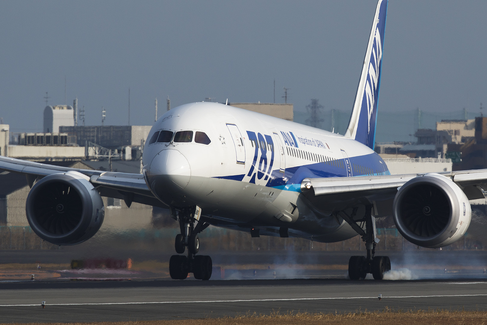 飛行機　（伊丹空港 千里川、伊丹スカイパーク）_a0003166_110590.jpg