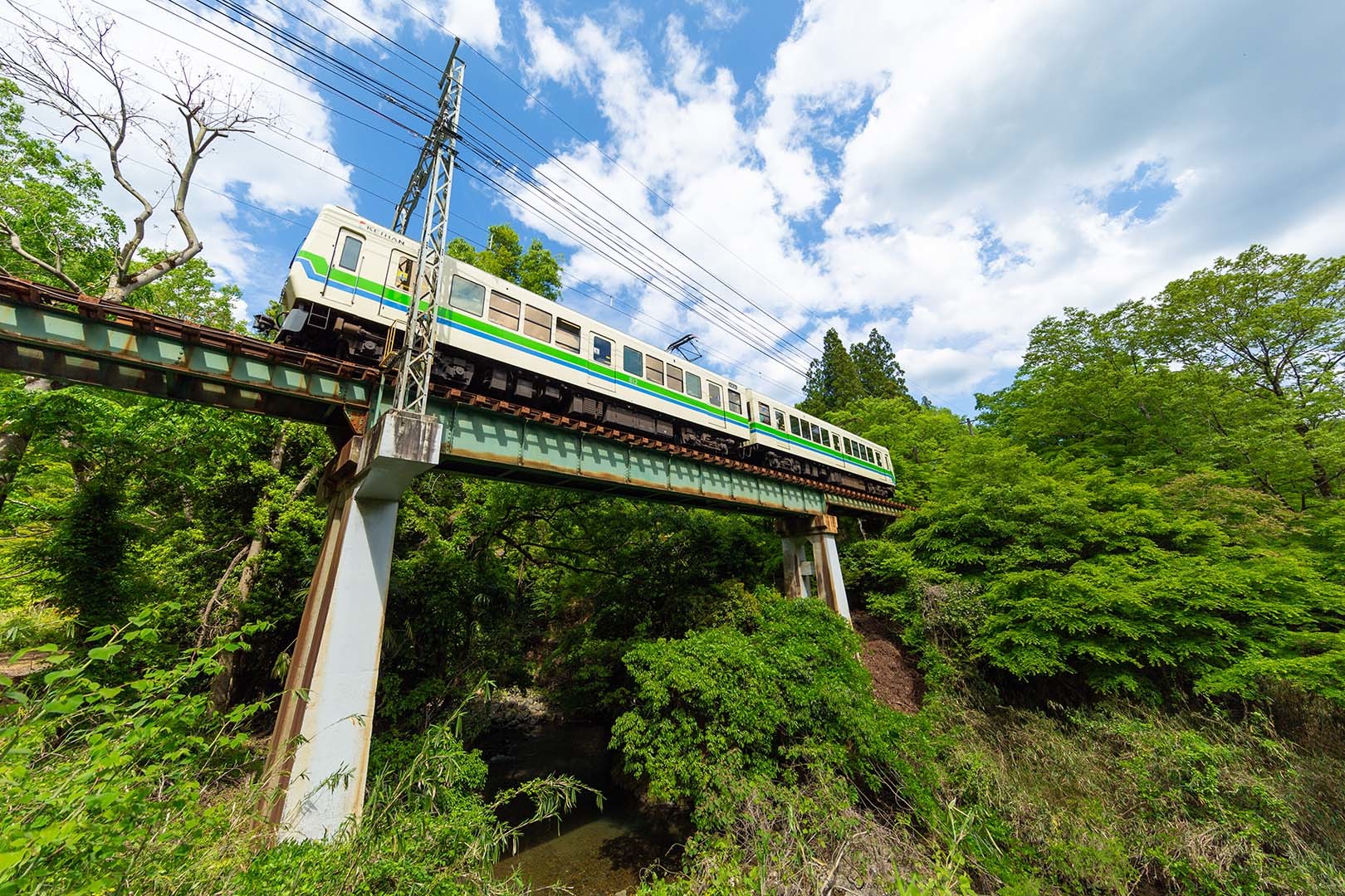 叡山電鉄 新緑（二ノ瀬の近く）_a0003166_11073757.jpg