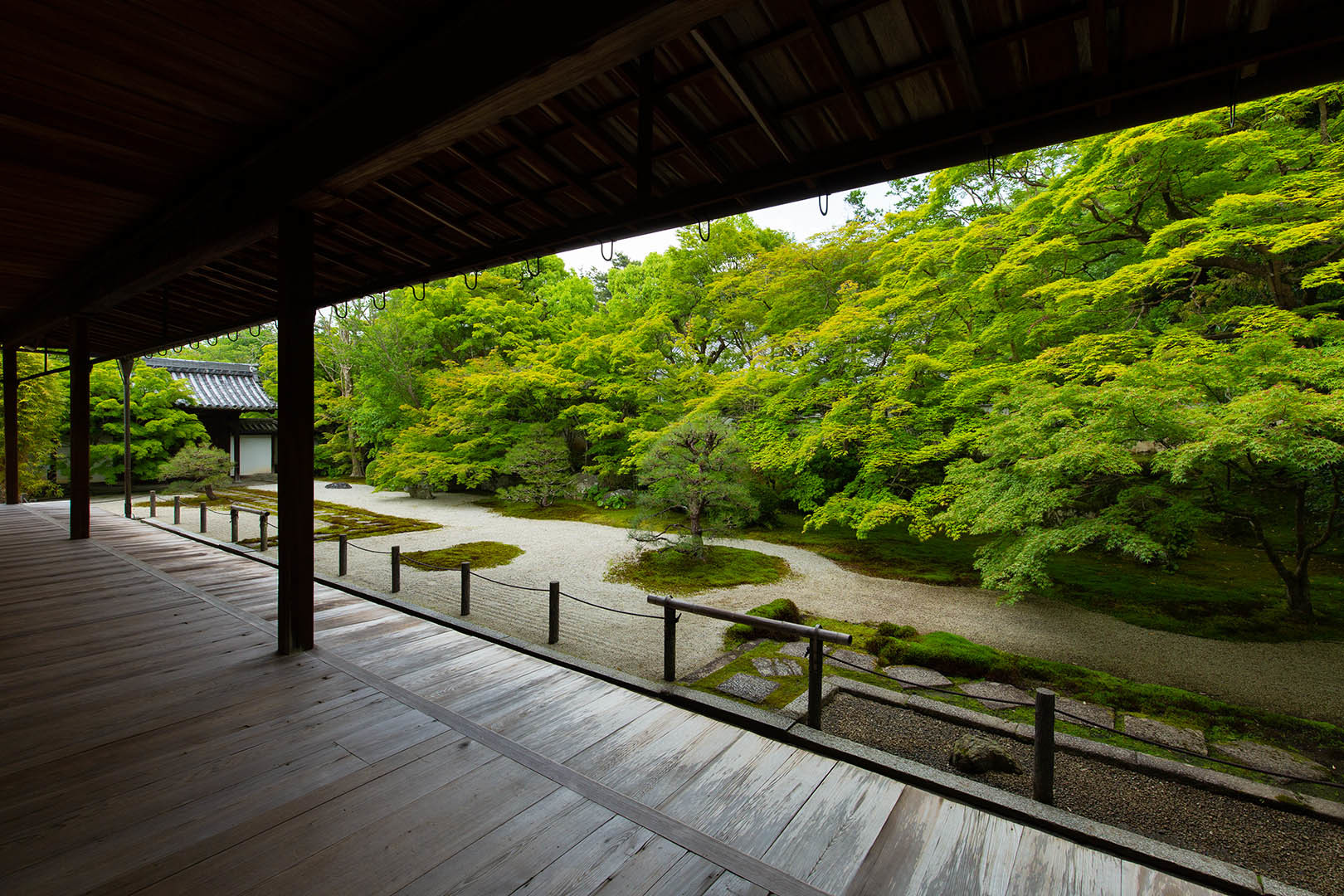 南禅寺 天授庵_a0003166_11091739.jpg