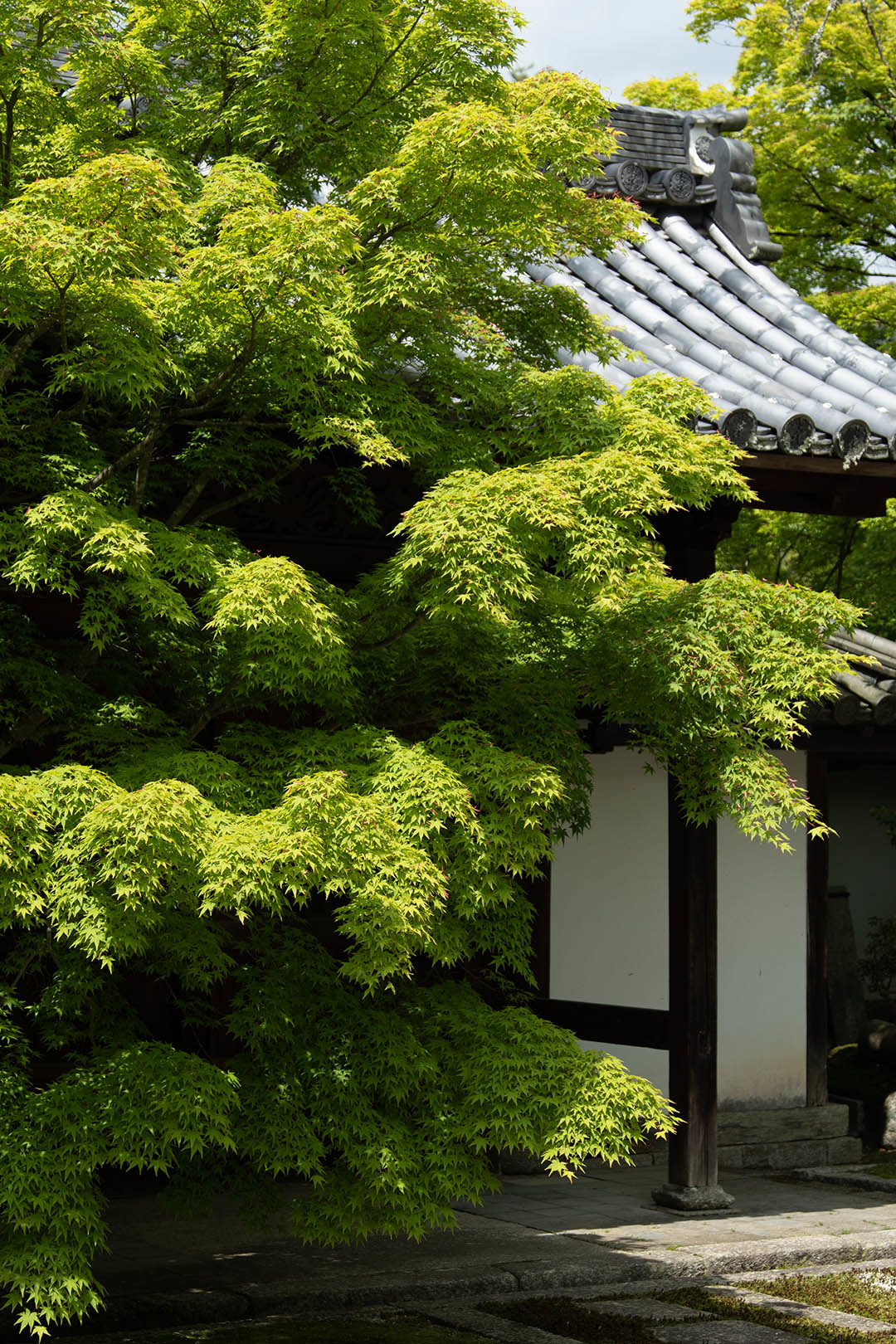 南禅寺 天授庵_a0003166_11091808.jpg