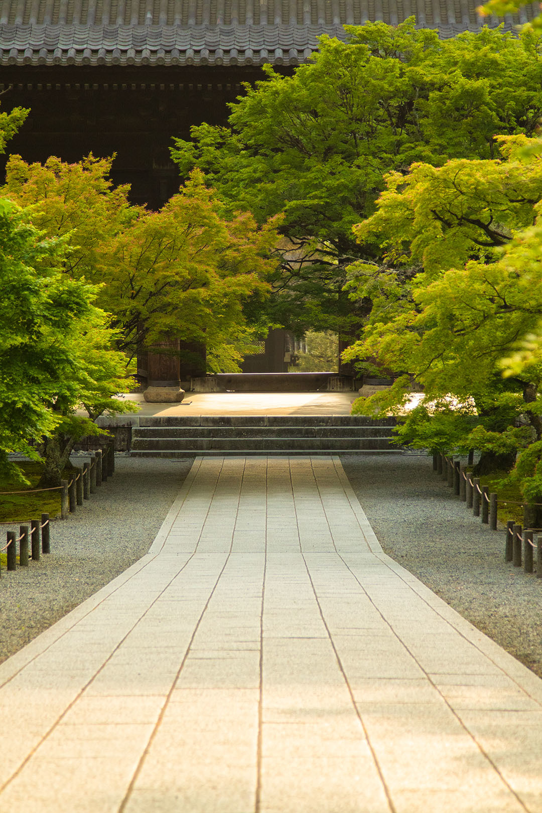 南禅寺_a0003166_11131614.jpg