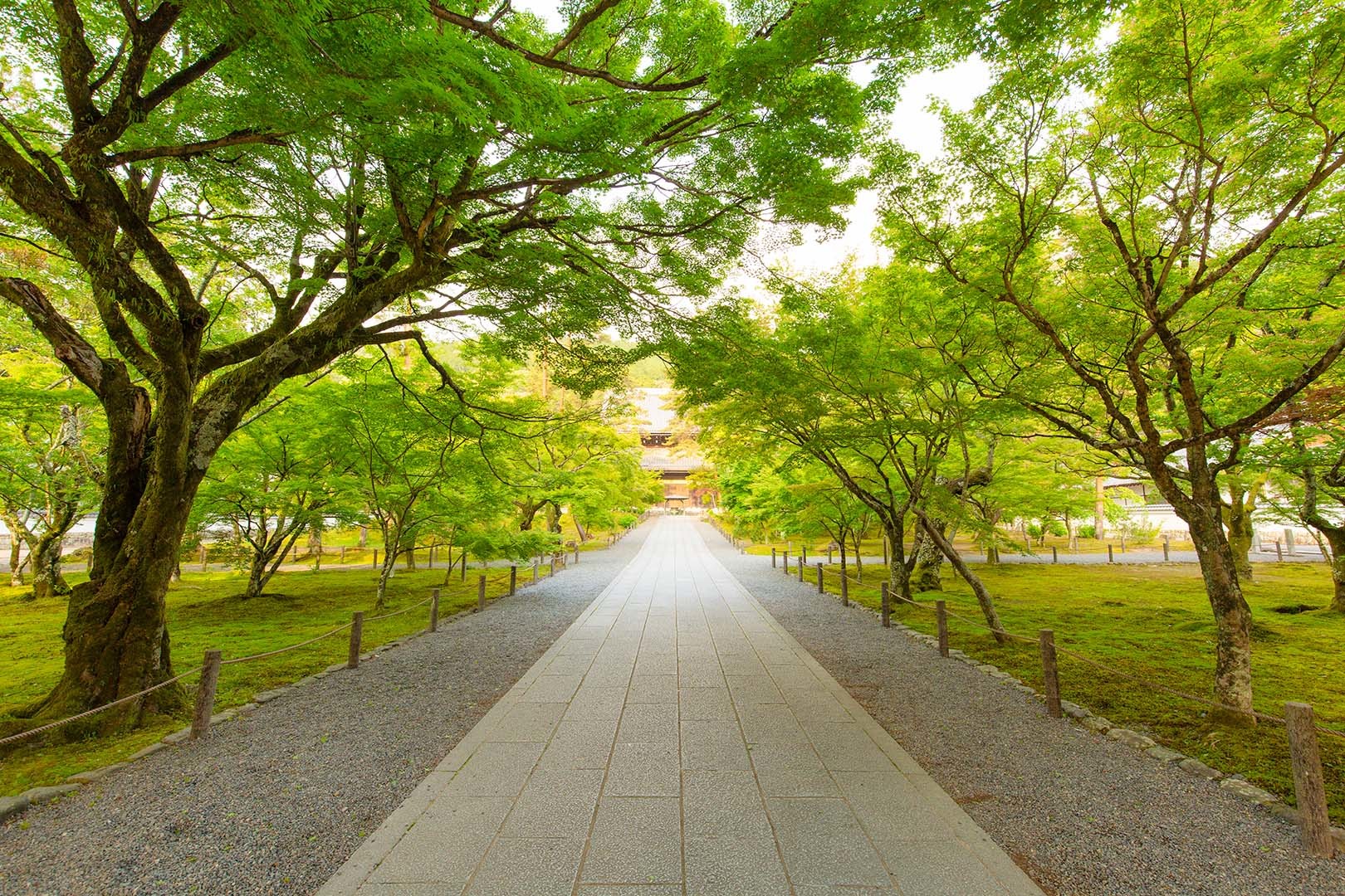 南禅寺_a0003166_11131665.jpg