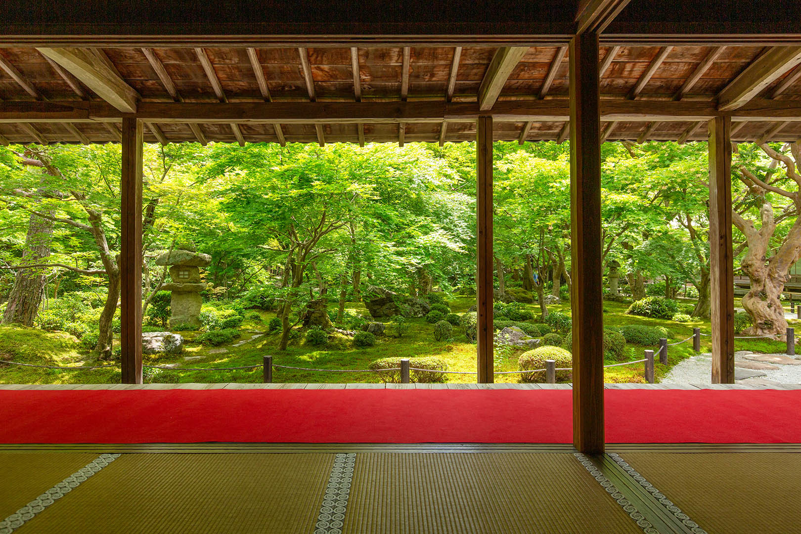 圓光寺_a0003166_11183920.jpg