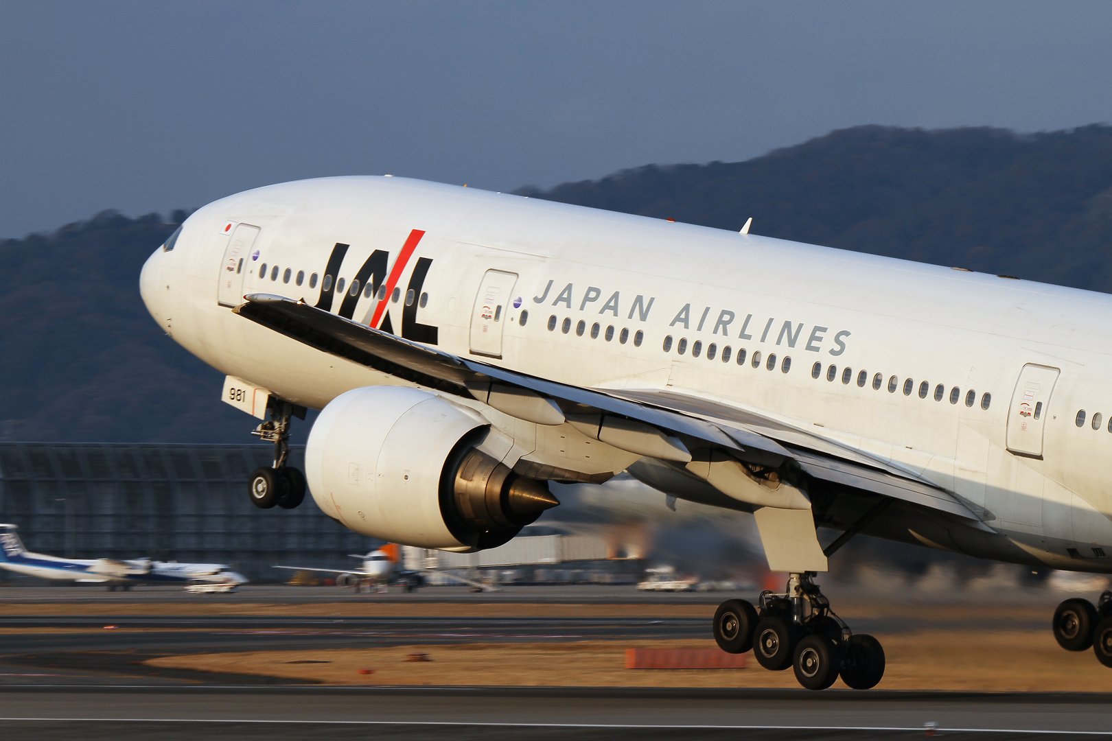 飛行機　（伊丹スカイパーク）_a0003166_11231663.jpg
