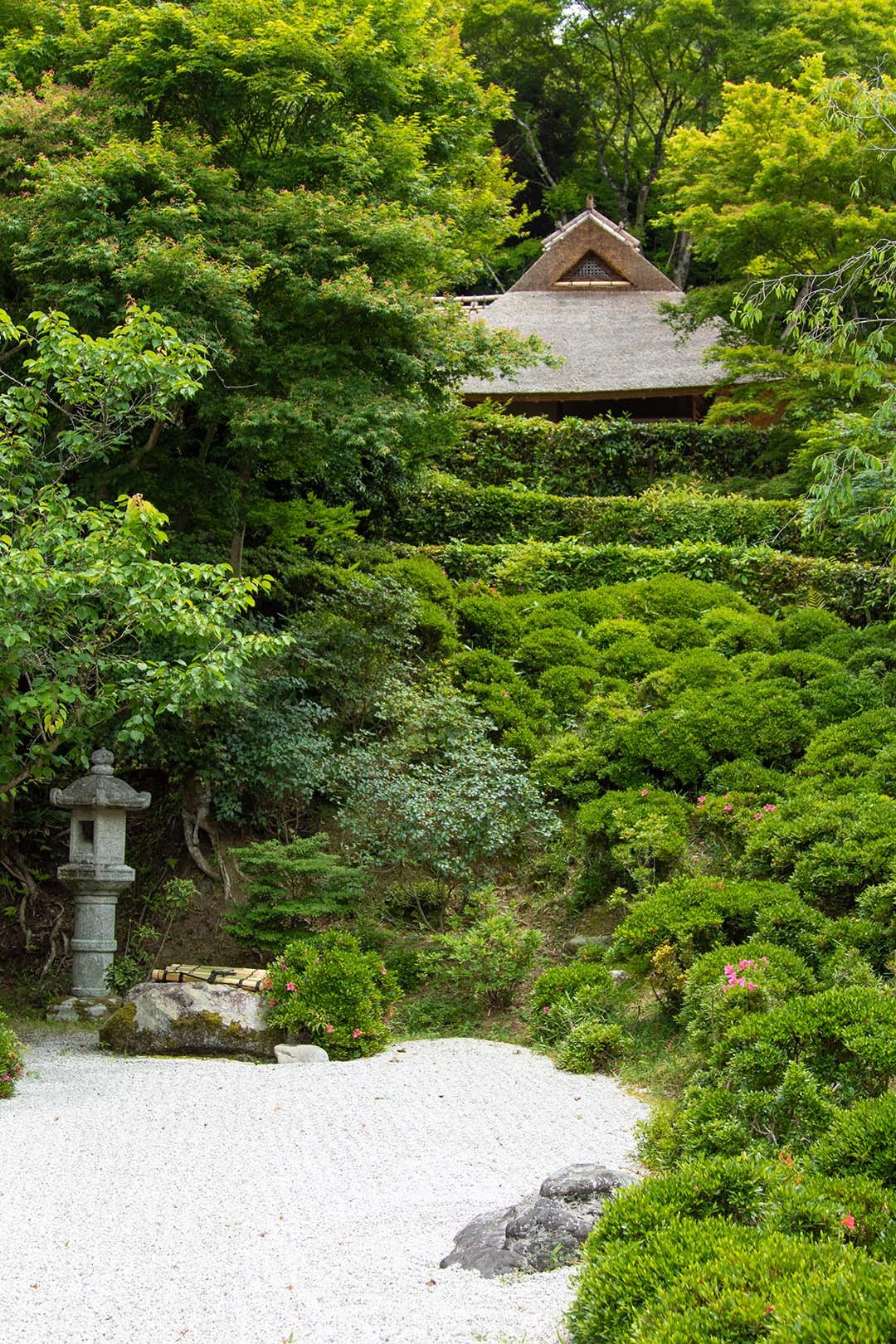 北天王 八大神社、金福寺_a0003166_11233960.jpg