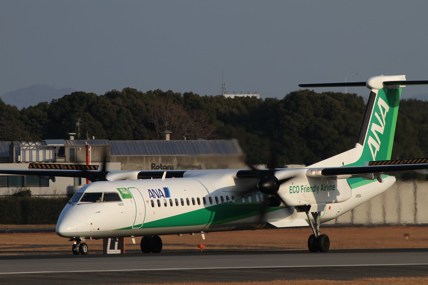飛行機　（伊丹スカイパーク）_a0003166_11241797.jpg