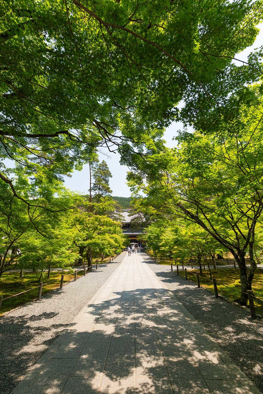 南禅寺 新緑_a0003166_11242585.jpg