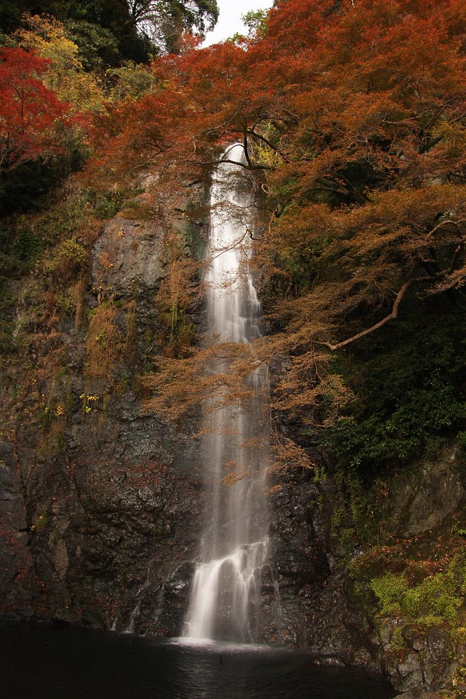 滝_a0003166_1125736.jpg