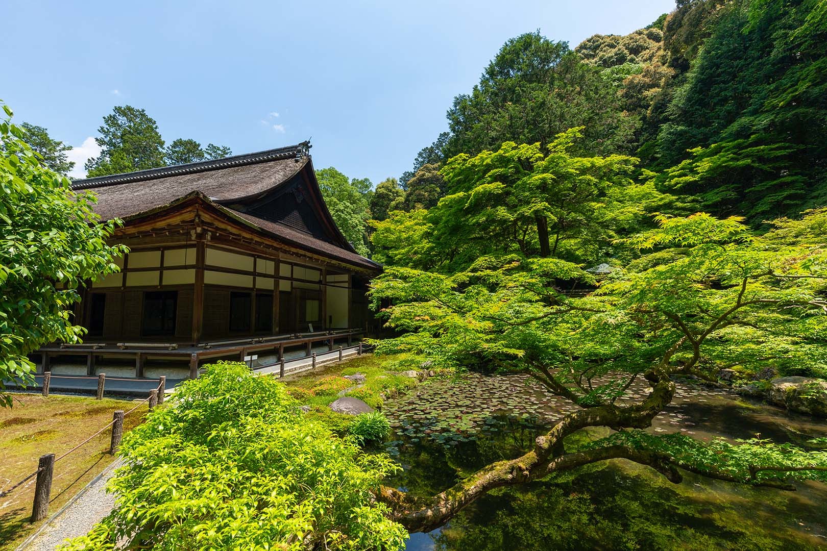 南禅院 新緑_a0003166_11264661.jpg