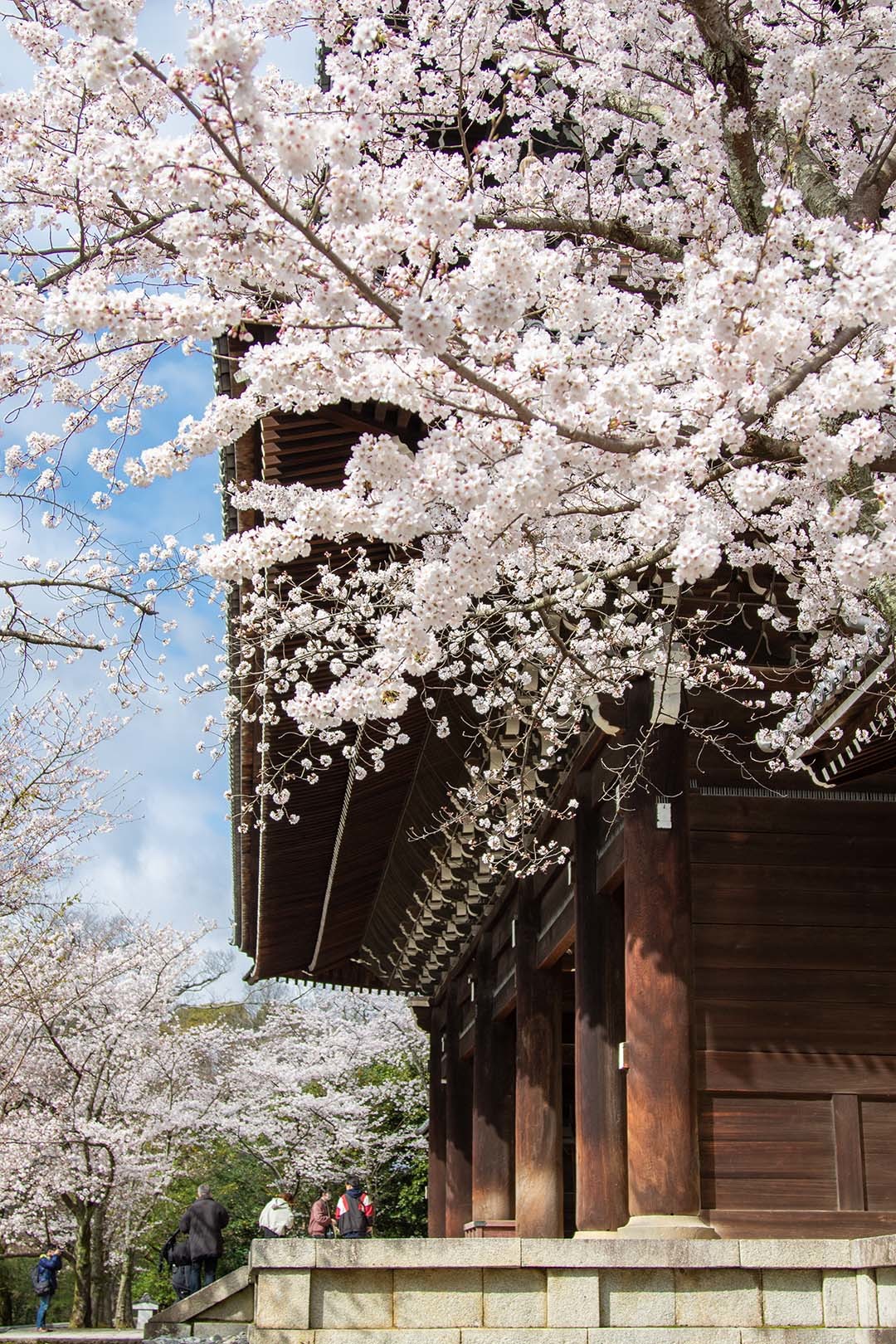 知恩院_a0003166_11285584.jpg