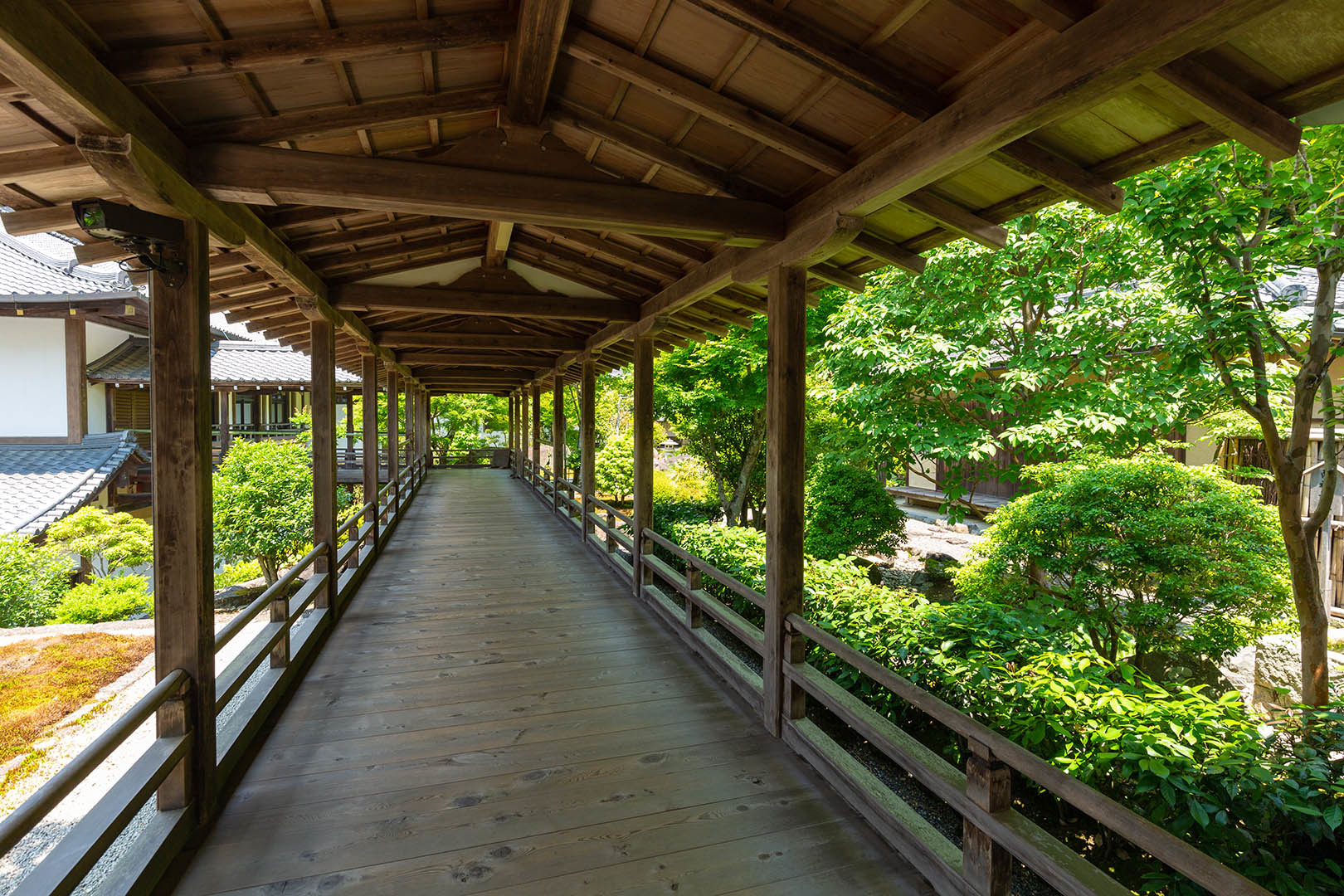 南禅寺_a0003166_11290224.jpg
